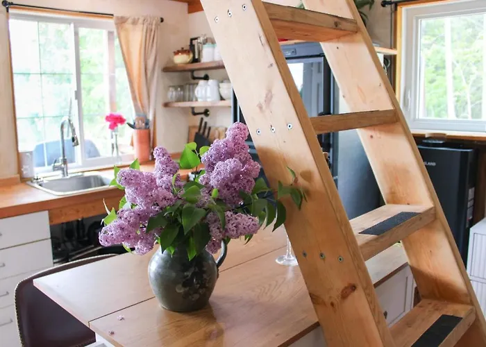 Goonieland Backcountry Sauna & Stays